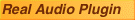 Get the real audio player to hear our demo's